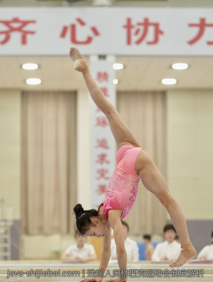 残疾人奥林匹克运动会制度解析