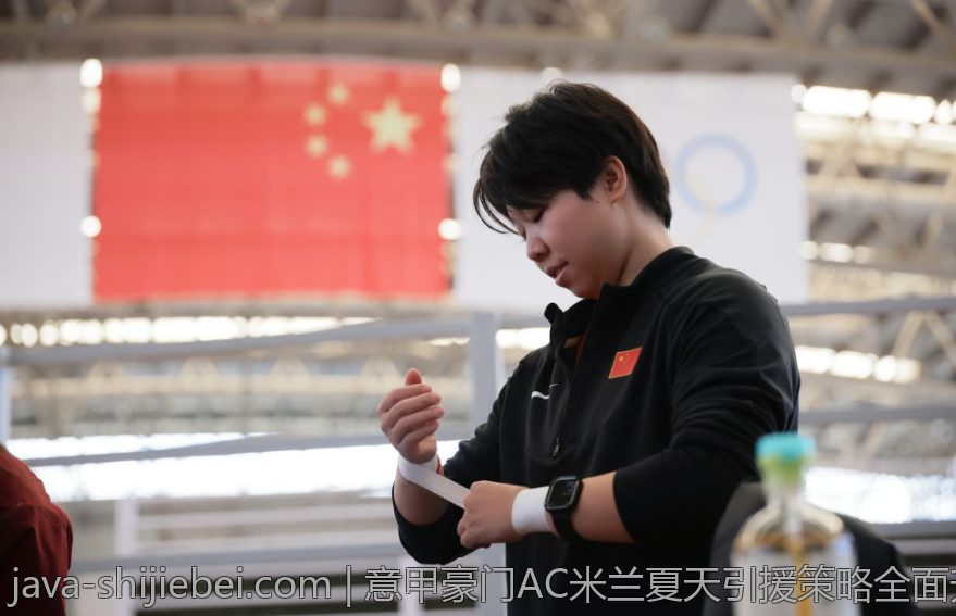 意甲豪门AC米兰夏天引援策略全面升级