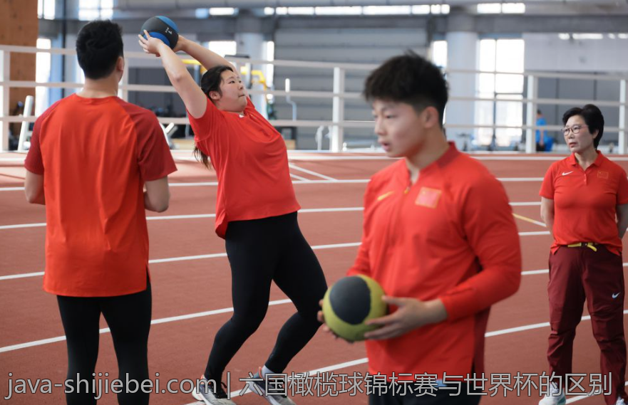 六国橄榄球锦标赛与世界杯的区别