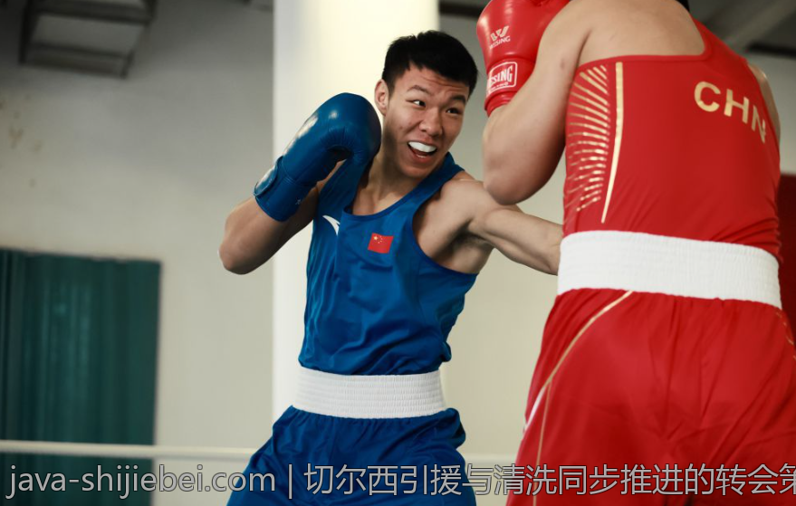 切尔西引援与清洗同步推进的转会策略分析