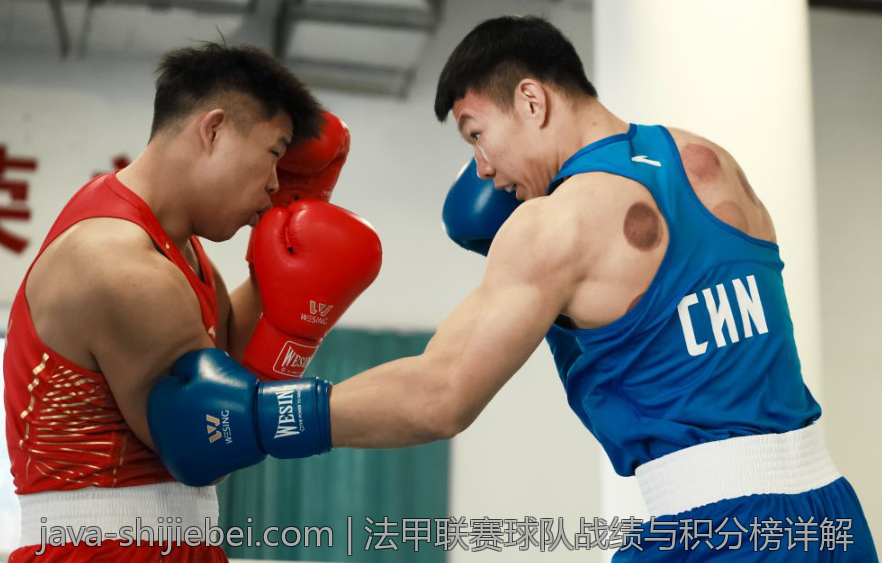 法甲联赛球队战绩与积分榜详解