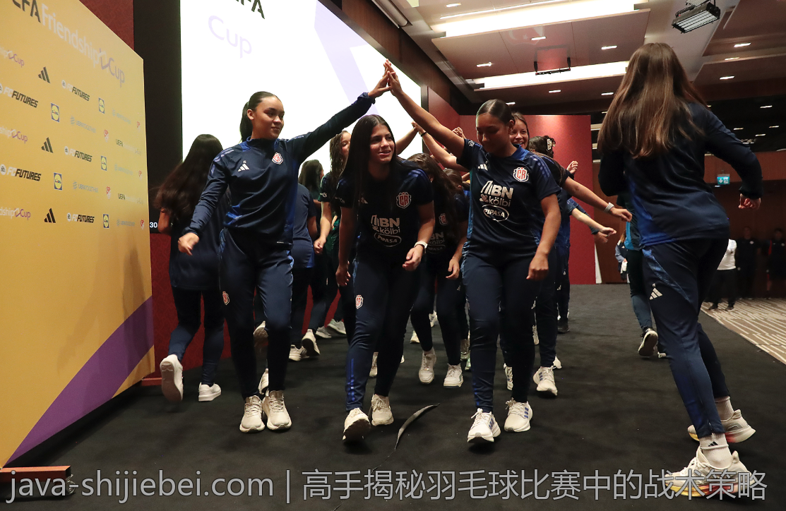 高手揭秘羽毛球比赛中的战术策略